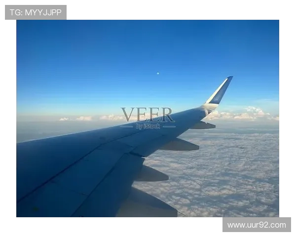 飞机机翼结构件的数控加工质量